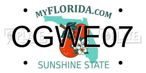 CGWE07 Florida License Plate