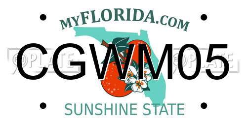 CGWM05 Florida License Plate
