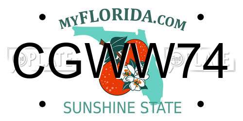 CGWW74 Florida License Plate