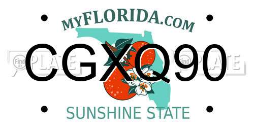 CGXQ90 Florida License Plate