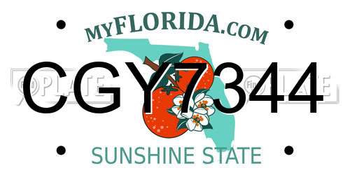 CGY7344 Florida License Plate