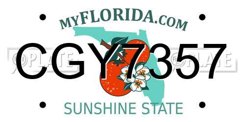 CGY7357 Florida License Plate