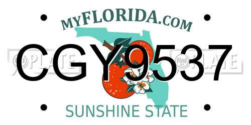 CGY9537 Florida License Plate