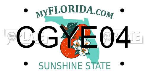 CGYE04 Florida License Plate