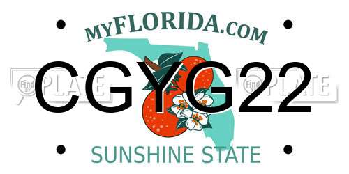 CGYG22 Florida License Plate