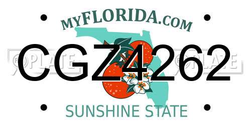CGZ4262 Florida License Plate