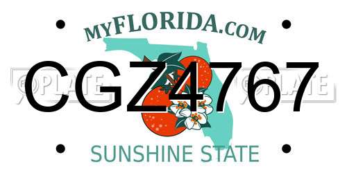 CGZ4767 Florida License Plate
