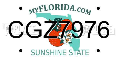 CGZ7976 Florida License Plate