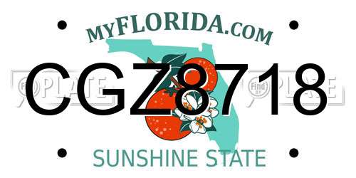CGZ8718 Florida License Plate