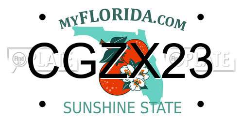 CGZX23 Florida License Plate