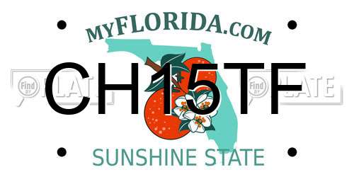 CH15TF Florida License Plate