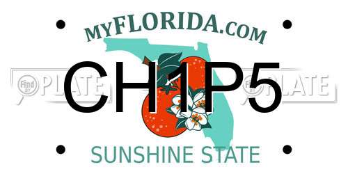 CH1P5 Florida License Plate