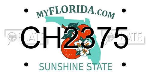 CH2375 Florida License Plate