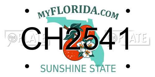 CH2541 Florida License Plate