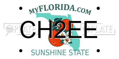 CH2EE Florida License Plate