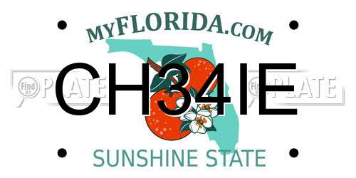 CH34IE Florida License Plate