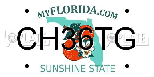 CH36TG Florida License Plate