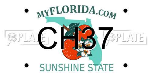 CH37 Florida License Plate