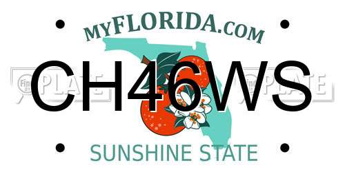 CH46WS Florida License Plate