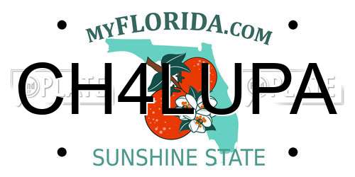 CH4LUPA Florida License Plate