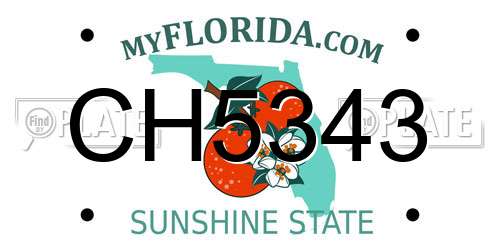 CH5343 Florida License Plate