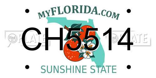 CH5514 Florida License Plate