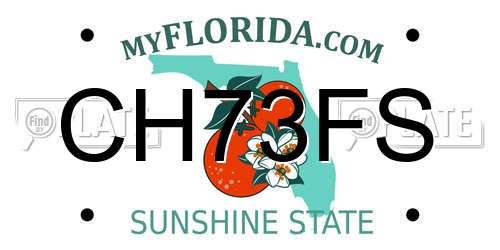 CH73FS Florida License Plate
