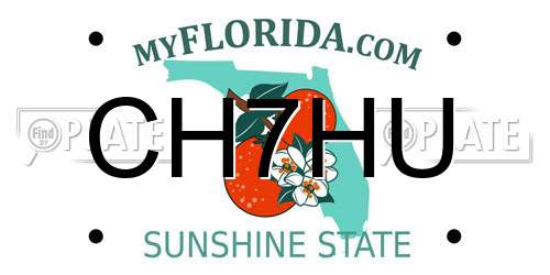 CH7HU Florida License Plate