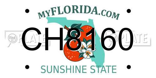 CH8160 Florida License Plate