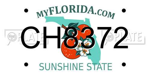 CH8372 Florida License Plate
