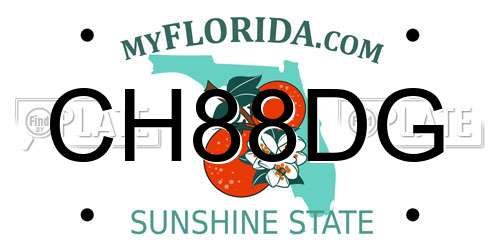 CH88DG Florida License Plate