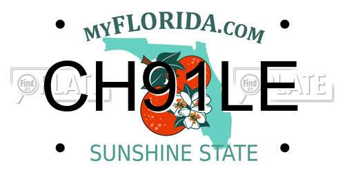 CH91LE Florida License Plate