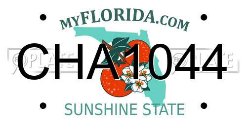 CHA1044 Florida License Plate