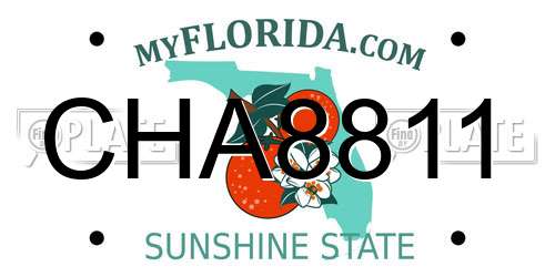 CHA8811 Florida License Plate