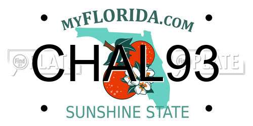CHAL93 Florida License Plate