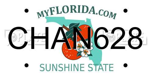 CHAN628 Florida License Plate