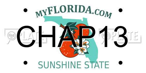 CHAP13 Florida License Plate