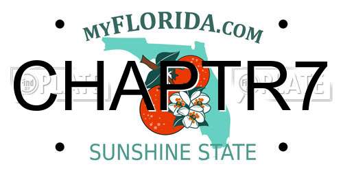 CHAPTR7 Florida License Plate