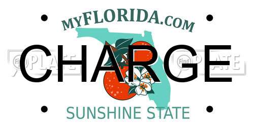 CHARGE Florida License Plate