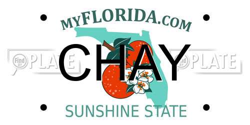CHAY Florida License Plate