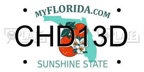 CHD13D Florida License Plate