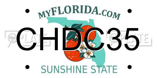 CHDC35 Florida License Plate