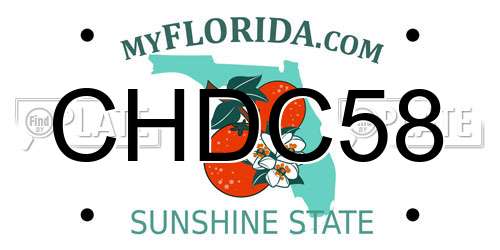CHDC58 Florida License Plate