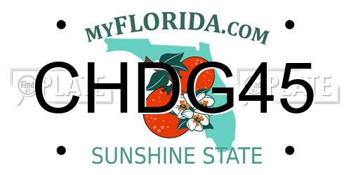 CHDG45 Florida License Plate