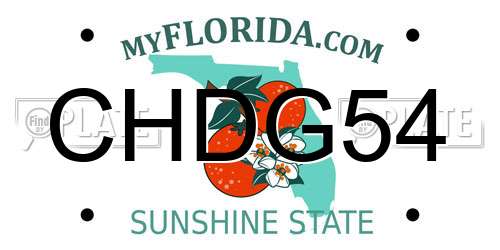 CHDG54 Florida License Plate