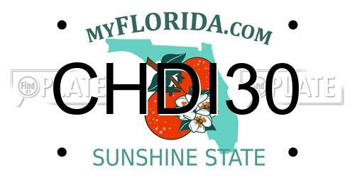 CHDI30 Florida License Plate