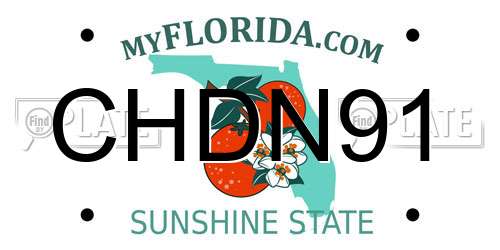 CHDN91 Florida License Plate