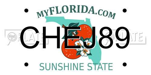 CHEJ89 Florida License Plate