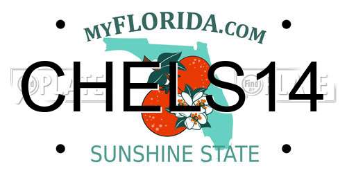 CHELS14 Florida License Plate