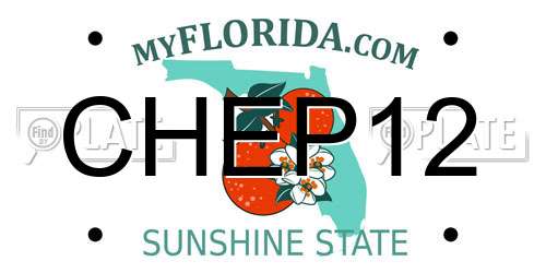 CHEP12 Florida License Plate